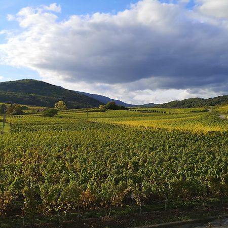 L'Horizon Lägenhet Bergheim Exteriör bild